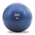 Picture of Everlast lopta za vježbanje i stabilnost